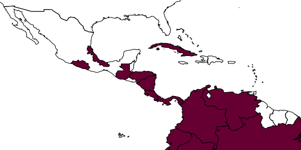 map of Pepsis montezuma     Smith, 1855